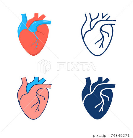 Human heart icon set in flat and line style 74349271