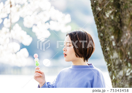 お花見でお団子を食べる女性 75343458