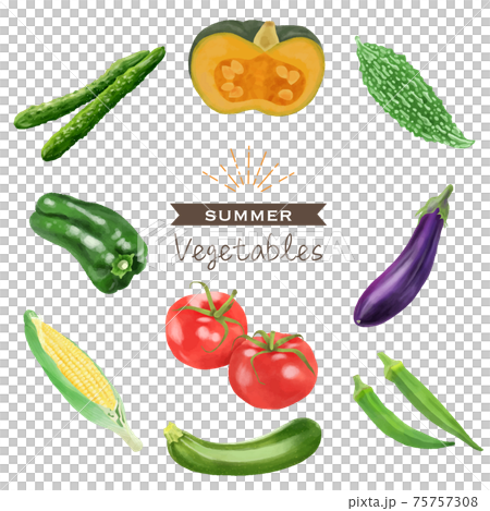 Summer vegetable set with watercolor touch 75757308