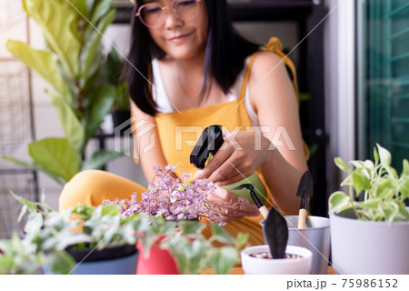 Happy asian woman spraying beautiful flower in pot at garden home 75986152