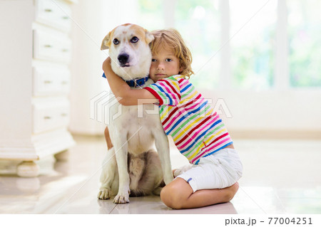 Child playing with dog. Kids play with puppy. 77004251