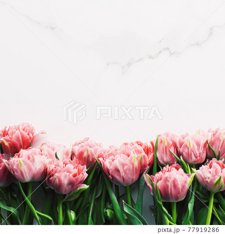 Spring flowers on marble background as holiday gift, greeting card and floral flatlay 77919286