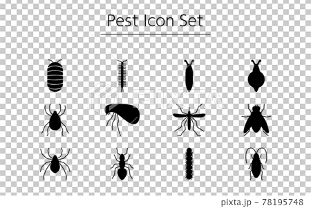 不快害虫のシンプルなアイコンセット、ゴキブリ、ダニ、蚊、ハエ、蜘蛛、他 78195748