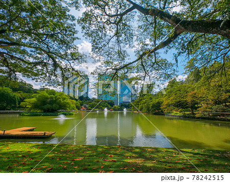 市街地の高層ビルを望む公園の池 (ペルダナ植物園、クアラルンプール、マレーシア) 78242515