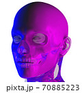 3d rendering illustraion of upper skull 70885223