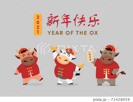 Happy Chinese new year 2021 Ox zodiac. Cute cow character in red costume set. Translated 71428059