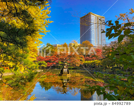 東京日比谷・日比谷公園の黄葉 84992789