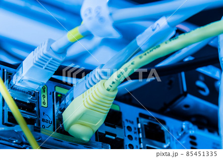 ethernet cables connected to switch 85451335