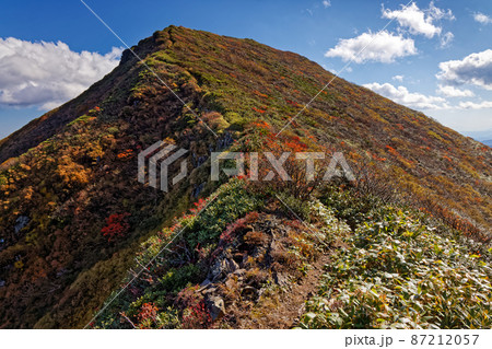 伍策新道から見る紅葉の谷川連峰・万太郎山 87212057