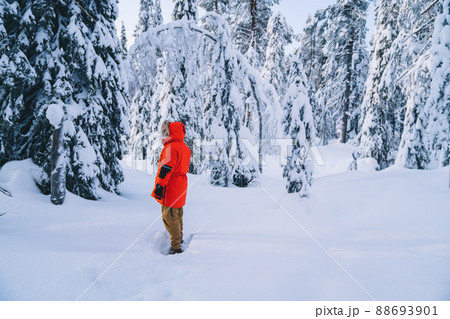 Rear view of male red winter coat explore destination in wood during expedition, 88693901