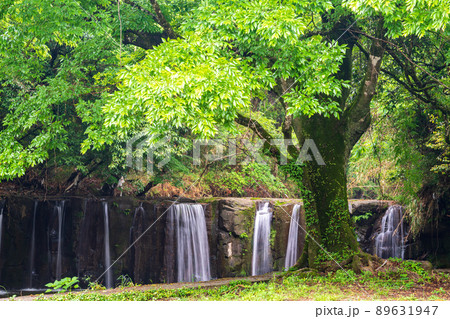 初夏の爽やかな風が青もみじを揺らす岳間渓谷と釘の花の滝との新緑風景 89631947