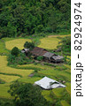 Rice fields on terraced of Mu Cang Chai, YenBai, Vietnam. Beautiful landscapes with mountain hills valley. Rice fields on terraced beautiful shape. Paddy rice terraces in countryside 82924974