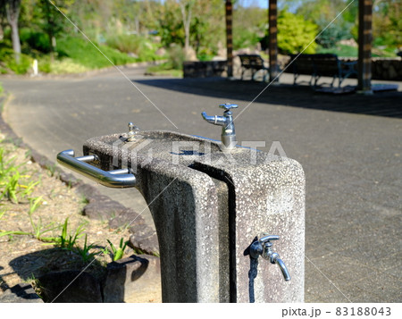 徳島植物園の遊歩道と給水場 83188043