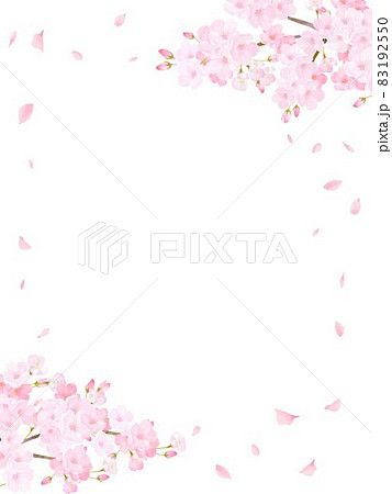 美しく華やかな桜の花と花びら舞い散る春の白バック背景ベクター素材イラスト 83192550