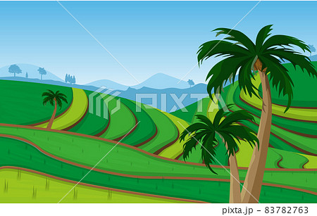 Bali Terraced Paddy Rice Field Agriculture Nature View Illustration 83782763