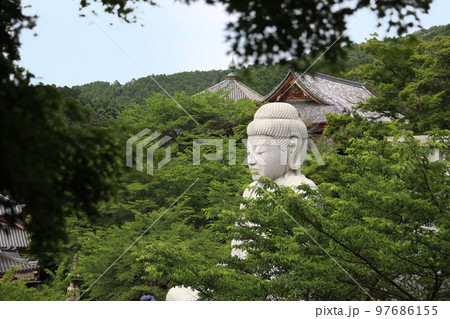 壷阪寺　奈良県 97686155