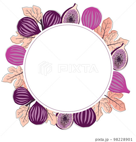 Fig fruits round frame in trend style 98228901