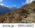 Narrow path at Khumbu valley 99014665