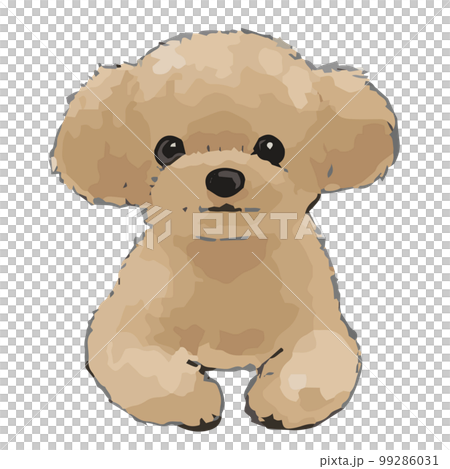 Sketch-style illustration of a toy poodle 99286031