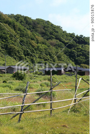 新潟　佐渡　農村の風景（小野見集落付近） 90015876