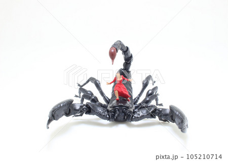 a black Scorpion with the evil on board 105210714