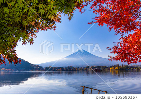 【山梨県･富士山･河口湖】富士山と紅葉が織り成す日本の景色 11月   105690367