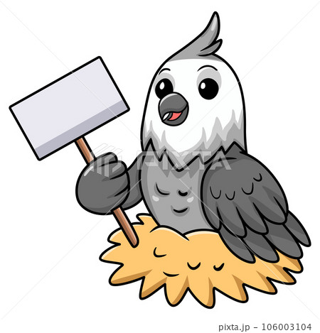 Cute whiteface cockatiel bird cartoon holding blank sign 106003104