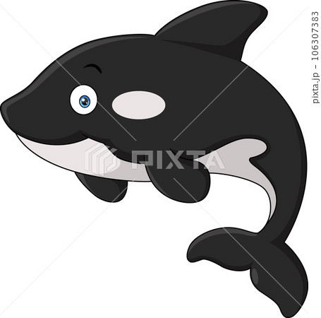 Cute killer whale cartoon on white background 106307383