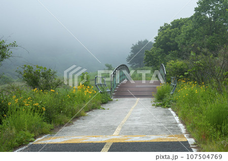 Bicycle path along the Seomjingang River 107504769