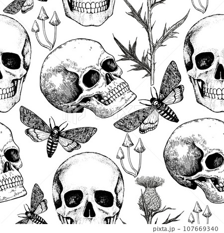 Halloween black and white seamless pattern with realistic human skull, spider web, moths and flowers. Gothic print in retro engraving style. 107669340