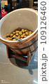 Olives in beautiful dishes in the assortment of a restaurant in one of the hotels in Turkey 109126460