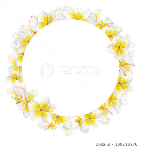 White frangipani wreath. Watercolor hand drawn clip art of exotic flower plumeria. Tropical painting for wedding invitations, spa and massage salon prints, cosmetic packing, travel guides 109216576