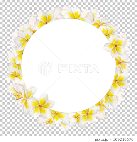 White frangipani wreath. Watercolor hand drawn clip art of exotic flower plumeria. Tropical painting for wedding invitations, spa and massage salon prints, cosmetic packing, travel guides 109216576