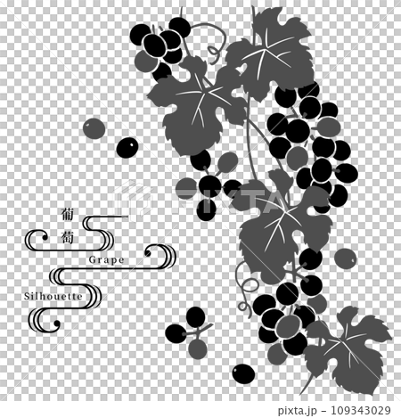 Grape silhouette vector illustration 109343029