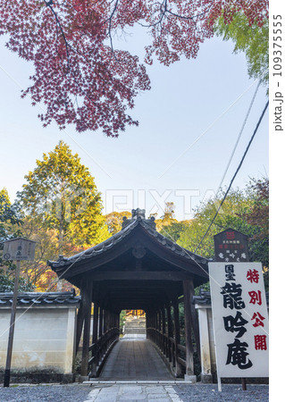 秋の京都東山　東福寺　紅葉と偃月橋 109375555