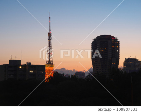 朝焼けの東京タワー　 都市景観（2023年10月） 109907333