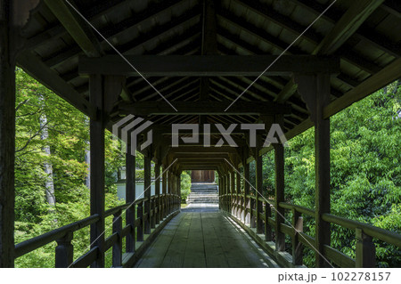 東福寺　偃月橋　新緑の季節（京都市東山区） 102278157