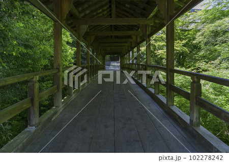 東福寺　偃月橋　新緑の季節（京都市東山区） 102278242