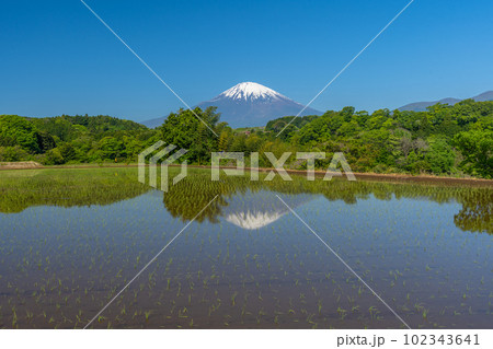 田んぼと富士山　逆さ富士　初夏 102343641