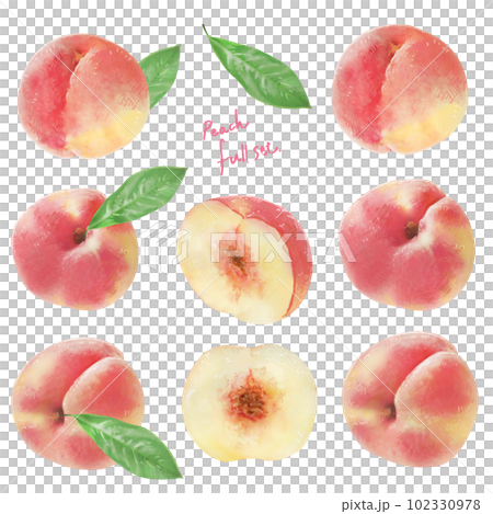 Illustration of a peach with a sweet scent 102330978