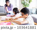 子供の勉強をみる母親 103641881