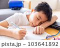 子供の勉強をみる母親 103641892