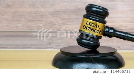 Legal opinion text engraved on lawyer's gavel. Legal and law concept 114466732