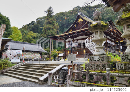 京都　松尾大社の境内　拝殿と酒樽（京都府京都市西京区） 114525902