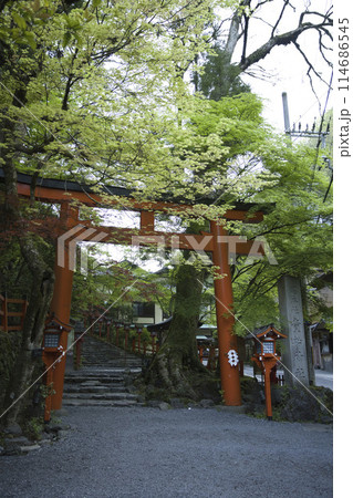 新緑の貴船神社　二の鳥居　縦構図2 114686545