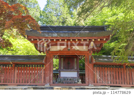 新緑の京都　高雄山神護寺　和気公霊廟 114778629