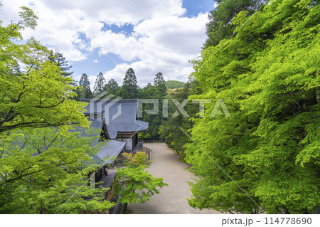 新緑の京都　神護寺　五大堂と毘沙門堂 114778690