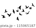 Silhouettes of flying birds on a white background. Vector illustration 115065187