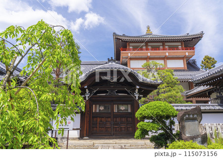 新緑の京都　本法寺　唐門 115073156