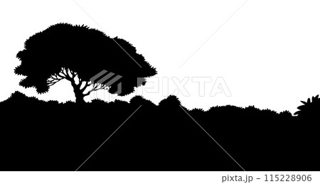 Vector drawing. Old tree in the field 115228906